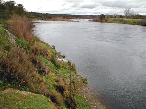 Lower American River .